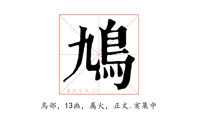 鳩