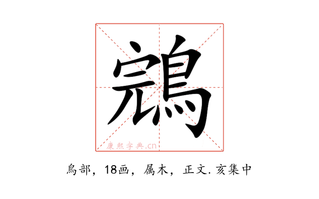 鵍