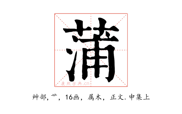 蒲