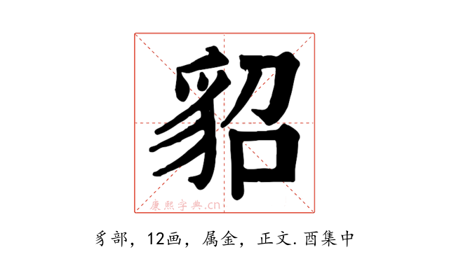貂