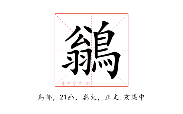 鶲