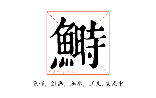 鰣
