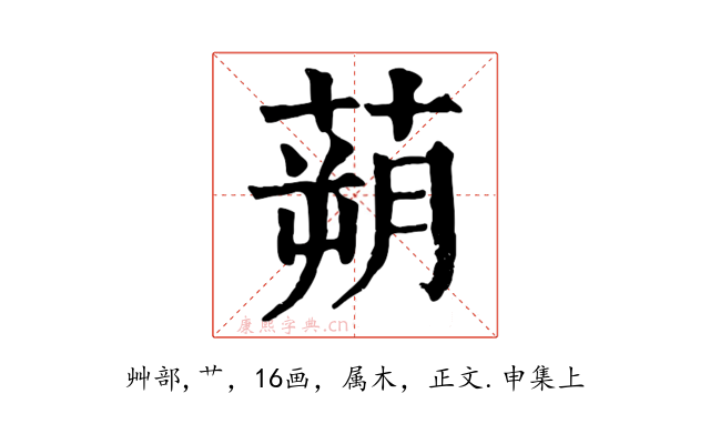 蒴