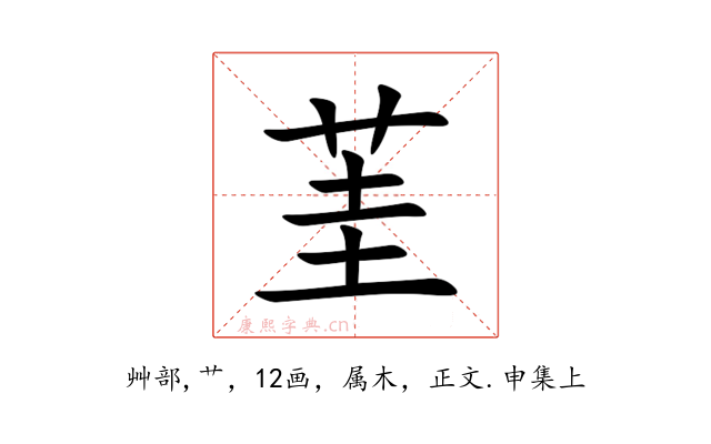 茥