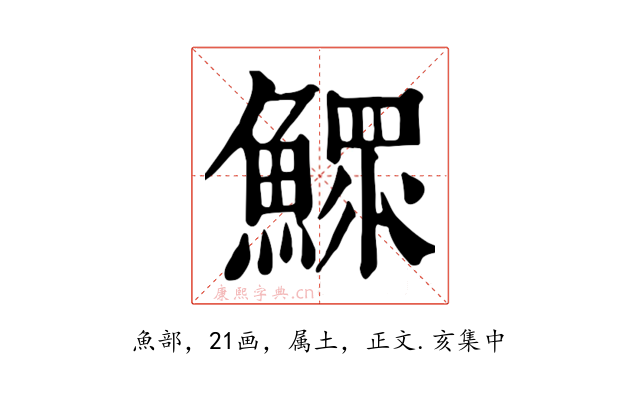 鰥