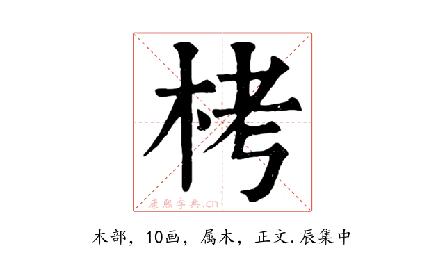 栲