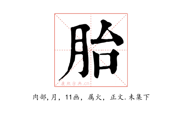 胎