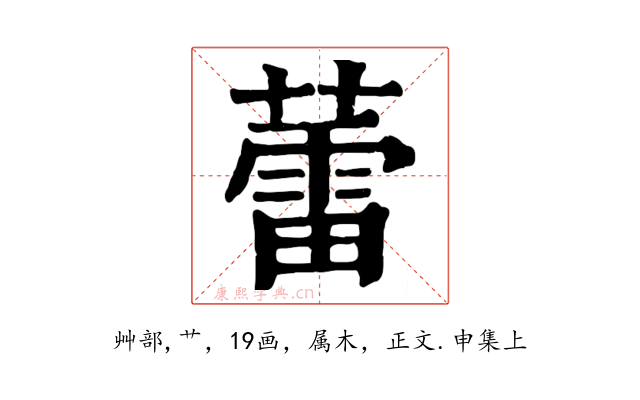 蕾