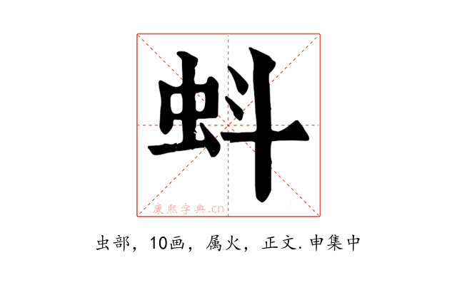 蚪