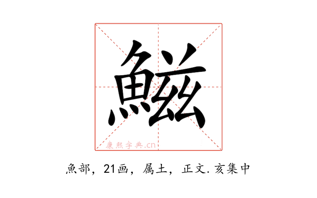 鰦