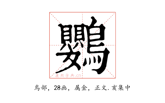 鸚