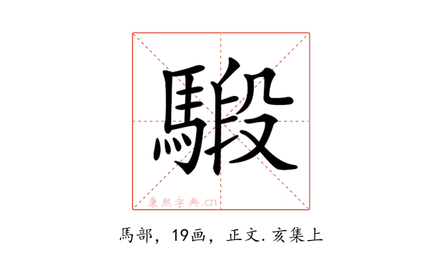 𩤣