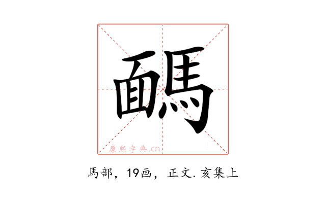 𩤤