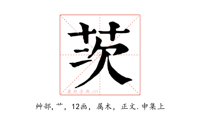 茨