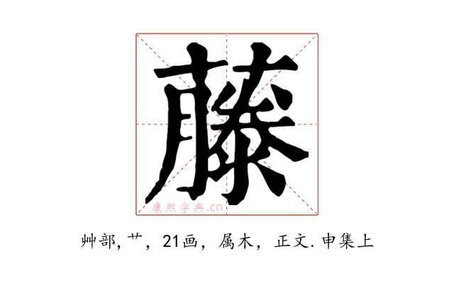 藤