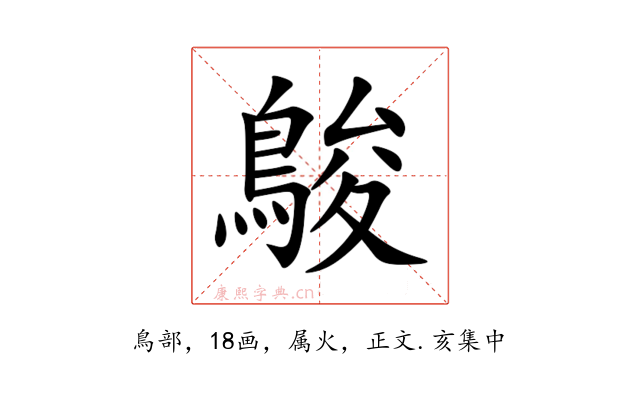鵔