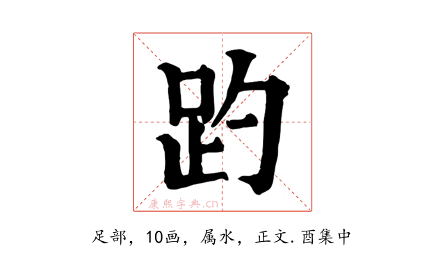 趵
