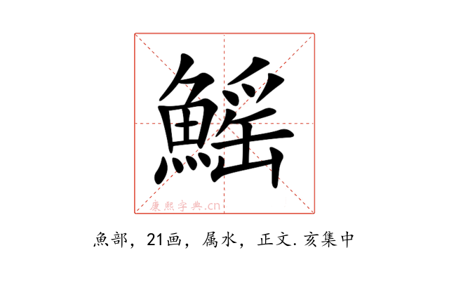 鰩