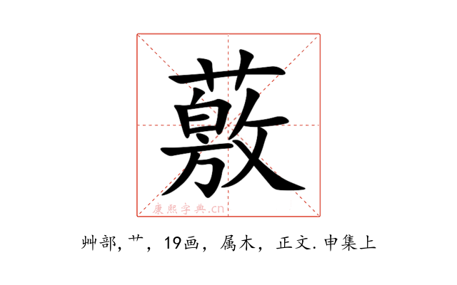 薂
