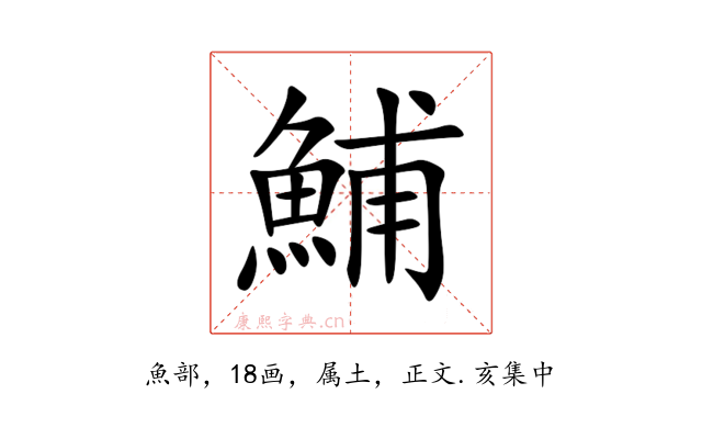 鯆