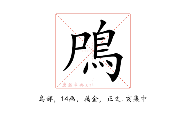 鳲