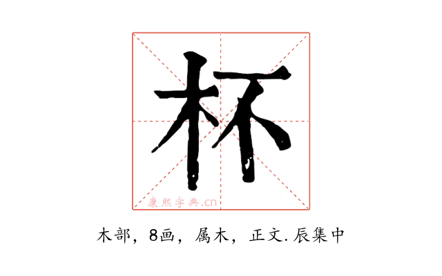 杯