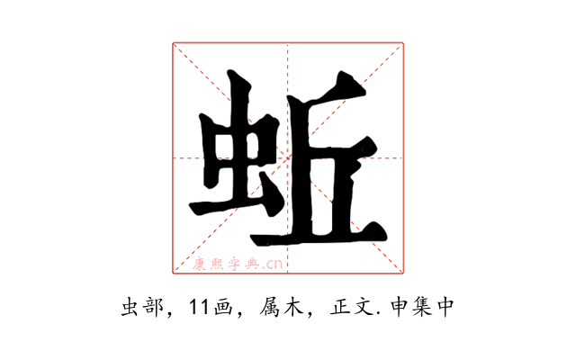 蚯