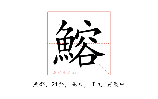 鰫