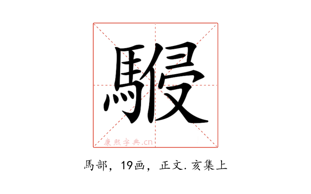𩤨