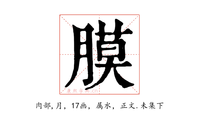膜