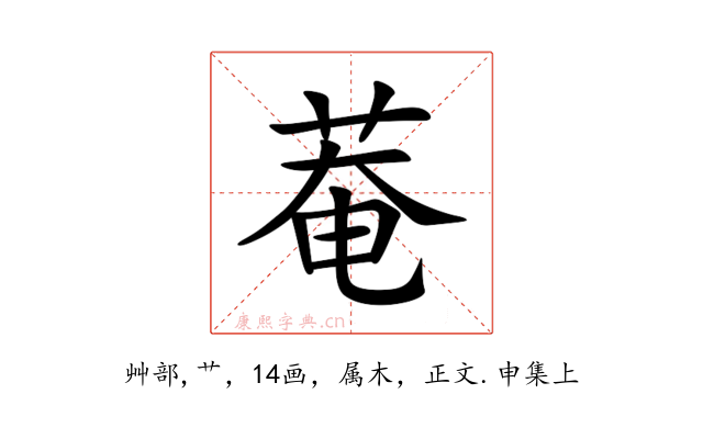 菴