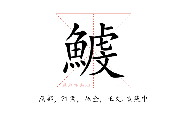 鰬