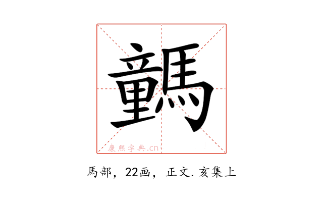 𩦍