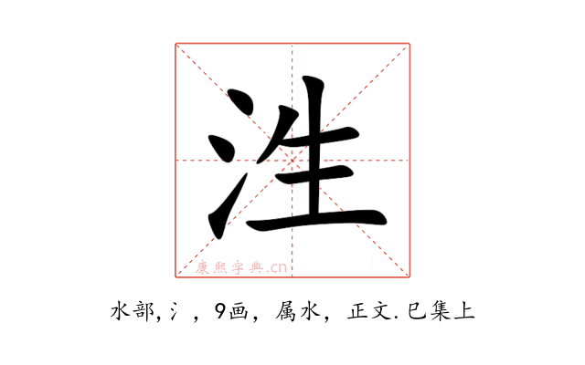泩