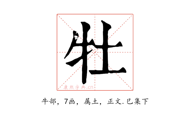 牡