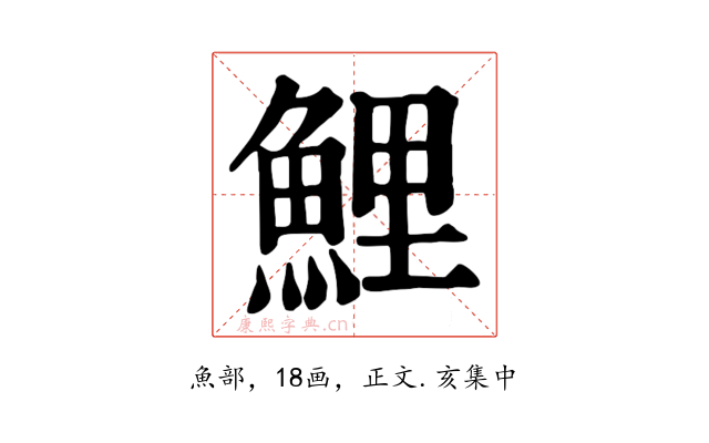 鯉