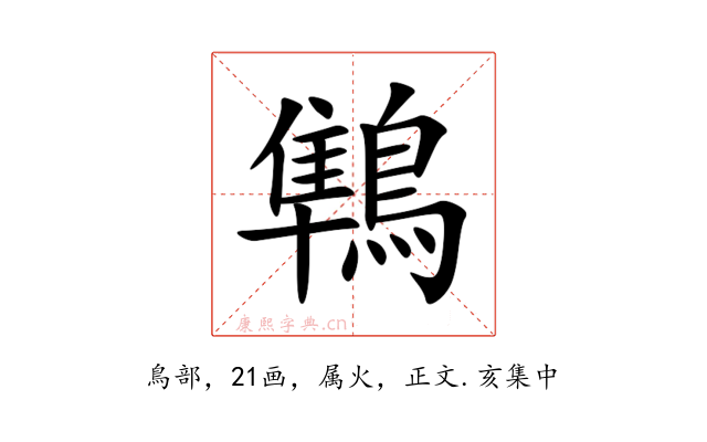 鶽