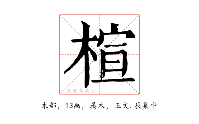 楦
