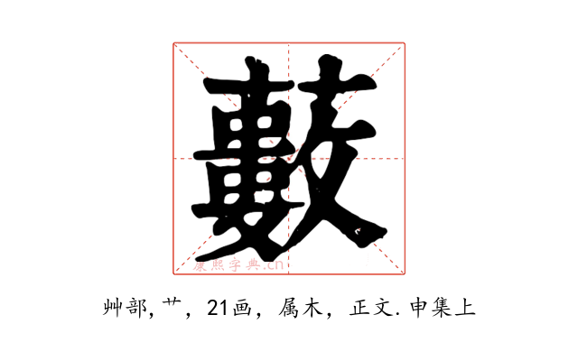 藪