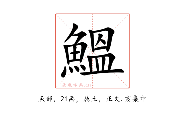 鰮