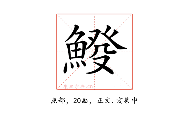 𩸿