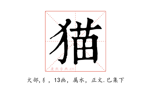 猫