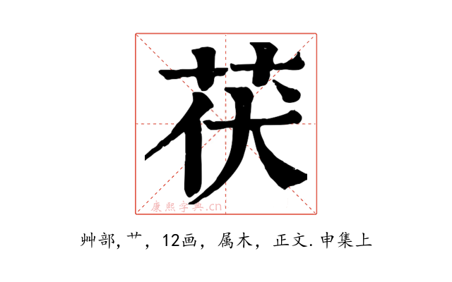 茯