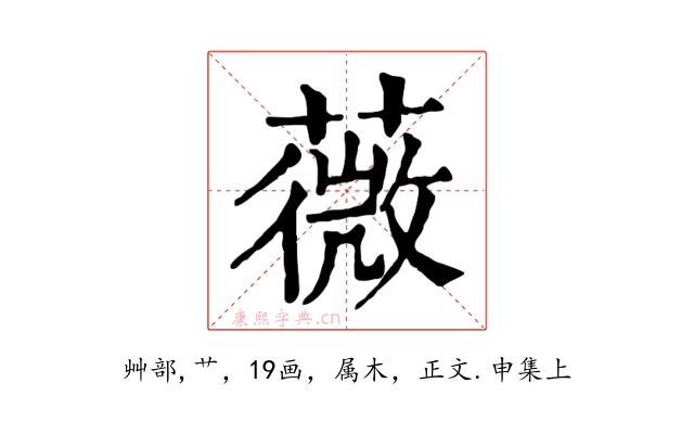 薇