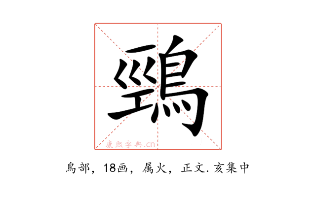 鵛