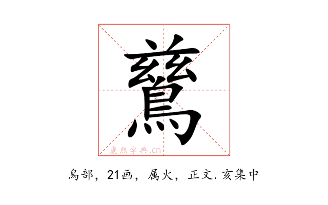 鶿