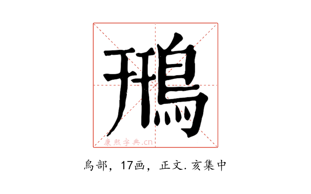 鳽
