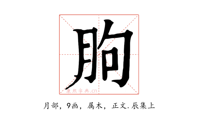 朐
