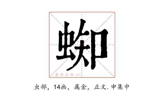 蜘