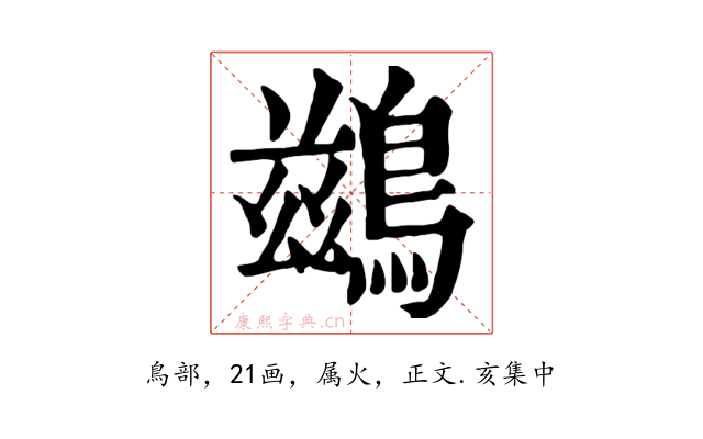 鷀